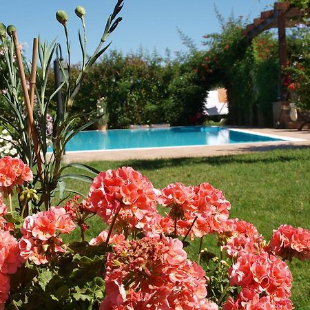 Villa Giusy B&B Cesena Buitenkant foto