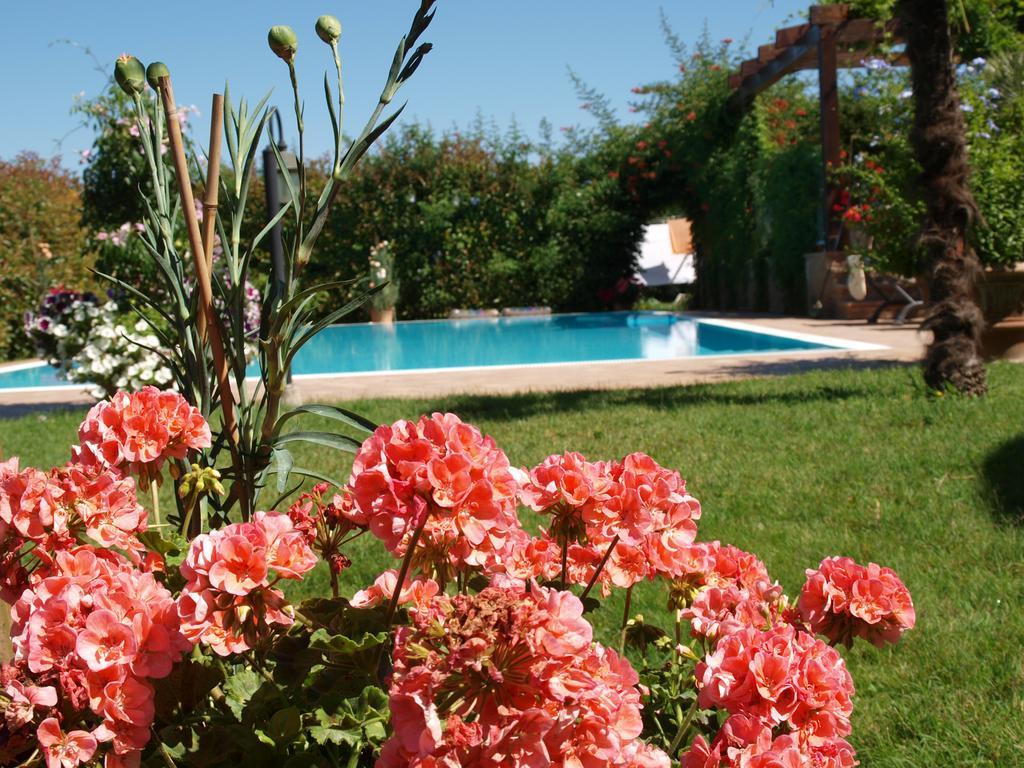 Villa Giusy B&B Cesena Buitenkant foto