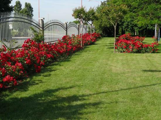 Villa Giusy B&B Cesena Buitenkant foto